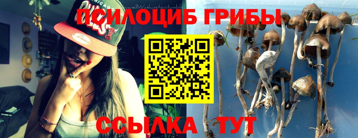 Галлюциногенные грибы прущие грибы Киреевск